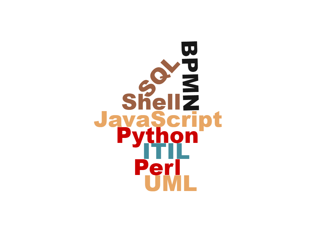 SQL, Python, Perl, Shell, JavaScript, UML, BPMN,  ITIL